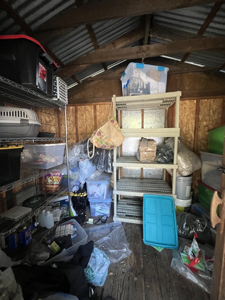 Shed Cleanout - before