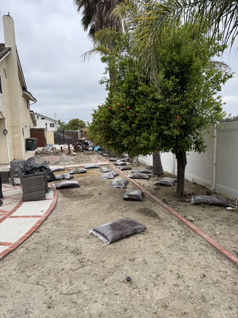 Garage cleanout - before